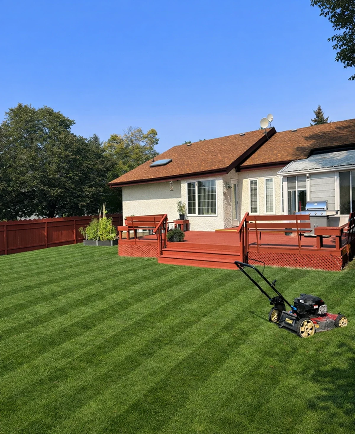 Professional grass cutting service on a Winnipeg front lawn