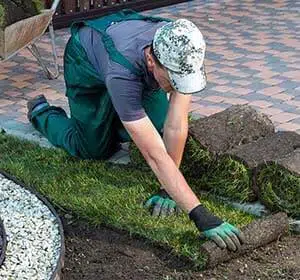 Lawn Care & Yard Maintenance Winnipeg