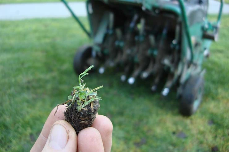 Core aeration service on a residential lawn in Winnipeg