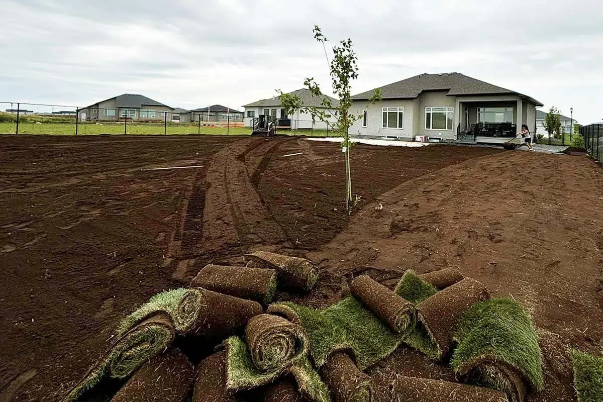 Backyard landscaping with new sod and garden beds in Winnipeg